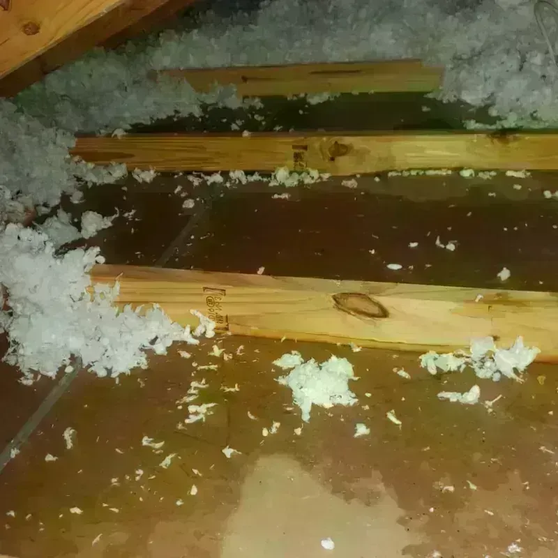 Attic Water Damage in Loudon County, TN